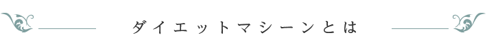 ダイエットマシーンとは